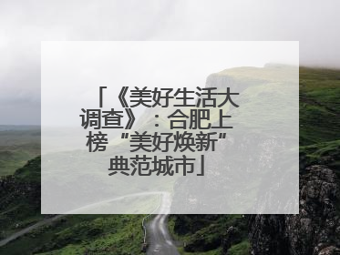 《美好生活大调查》：合肥上榜“美好焕新”典范城市