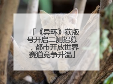 《异环》获版号开启二测招募，都市开放世界赛道竞争升温