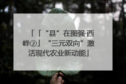 「“县”在图强·西峰②」“三元双向”激活现代农业新动能