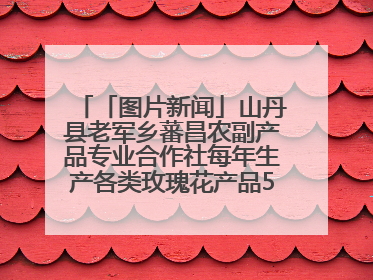 「图片新闻」山丹县老军乡蕃昌农副产品专业合作社每年生产各类玫瑰花产品500多吨