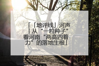 「地评线」河声丨从“一粒种子”看河南“两高四着力”的落地生根