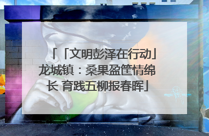 「文明彭泽在行动」龙城镇：桑果盈筐情绵长 育践五柳报春晖