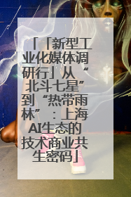 「新型工业化媒体调研行」从“北斗七星”到“热带雨林”：上海AI生态的技术商业共生密码