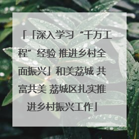 「深入学习“千万工程”经验 推进乡村全面振兴」和美荔城 共富共美 荔城区扎实推进乡村振兴工作
