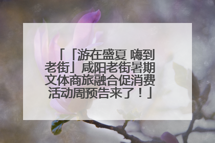 「游在盛夏 嗨到老街」咸阳老街暑期文体商旅融合促消费活动周预告来了！