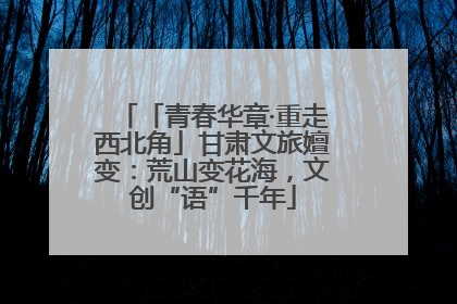 「青春华章·重走西北角」甘肃文旅嬗变：荒山变花海，文创“语”千年