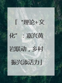 “理论+文化”：嘉兴黄岩联动，乡村振兴添活力