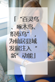 “百灵鸟、啄木鸟、织布鸟”，为仙居县域发展注入“新”动能