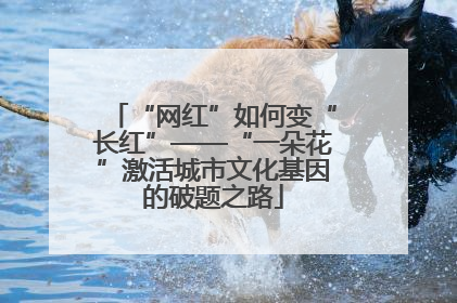 “网红”如何变“长红”——“一朵花”激活城市文化基因的破题之路