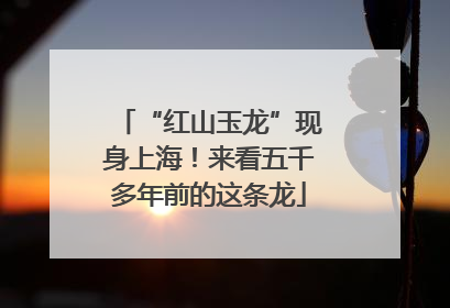 “红山玉龙”现身上海！来看五千多年前的这条龙