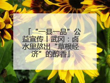 “一县一品”公益宣传丨武冈：卤水里熬出“草根经济”的醇香