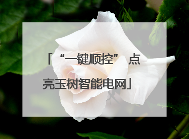 “一键顺控” 点亮玉树智能电网