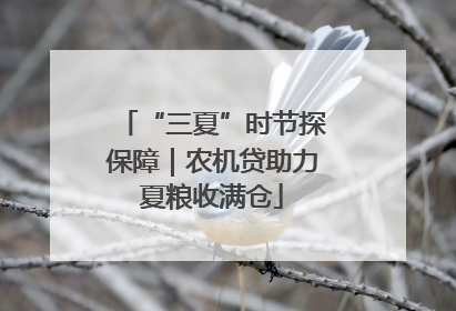 “三夏”时节探保障｜农机贷助力夏粮收满仓