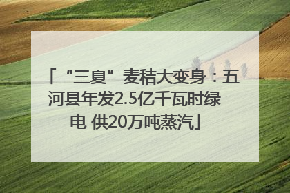 “三夏”麦秸大变身：五河县年发2.5亿千瓦时绿电 供20万吨蒸汽
