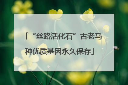 “丝路活化石”古老马种优质基因永久保存