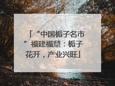 “中国栀子名市”福建福鼎：栀子花开，产业兴旺