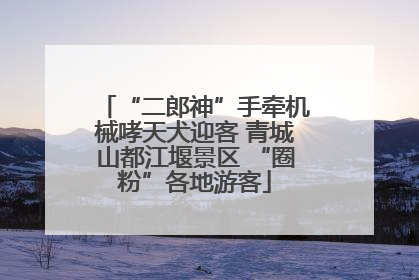 “二郎神”手牵机械哮天犬迎客 青城山都江堰景区 “圈粉”各地游客
