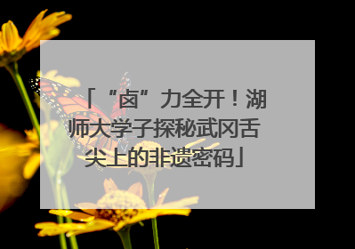 “卤”力全开！湖师大学子探秘武冈舌尖上的非遗密码