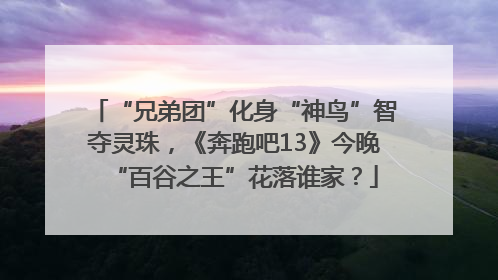 “兄弟团”化身“神鸟”智夺灵珠，《奔跑吧13》今晚“百谷之王”花落谁家？