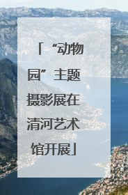 “动物园”主题摄影展在清河艺术馆开展