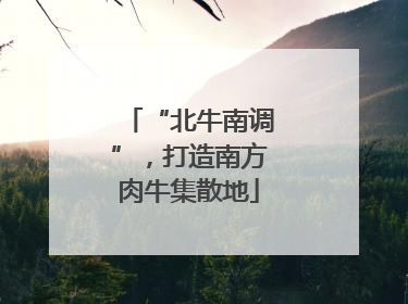 “北牛南调”，打造南方肉牛集散地