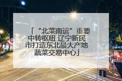 “北菜南运”重要中转枢纽 辽宁新民市打造东北最大产地蔬菜交易中心