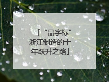 “品字标”浙江制造的十年跃升之路
