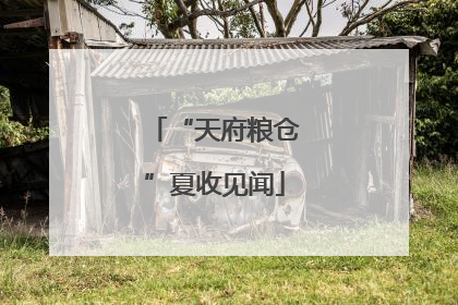 “天府粮仓”夏收见闻