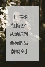 “彭阳红梅杏”从地标到金标的品牌蜕变