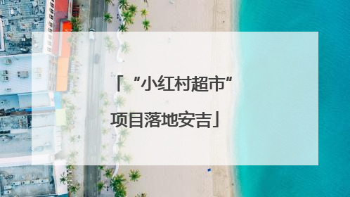 “小红村超市”项目落地安吉