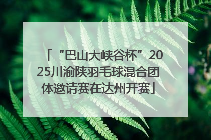 “巴山大峡谷杯”2025川渝陕羽毛球混合团体邀请赛在达州开赛