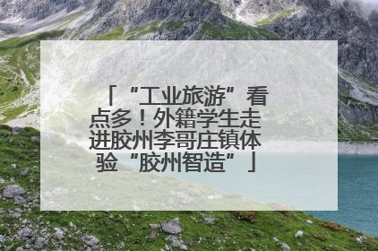“工业旅游”看点多！外籍学生走进胶州李哥庄镇体验“胶州智造”