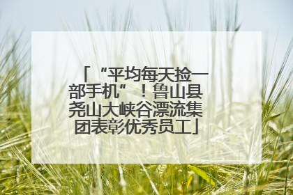 “平均每天捡一部手机”！鲁山县尧山大峡谷漂流集团表彰优秀员工