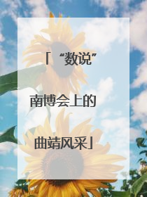 “数说”南博会上的曲靖风采