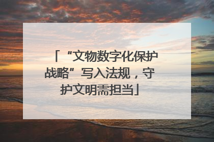 “文物数字化保护战略”写入法规，守护文明需担当