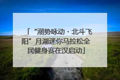 “潮势咏动・北斗飞阳”月湖迷你马拉松全民健身赛在汉启动