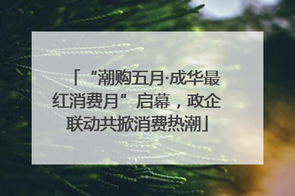 “潮购五月·成华最红消费月”启幕，政企联动共掀消费热潮