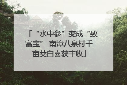 “水中参”变成“致富宝” 南漳八泉村千亩茭白喜获丰收
