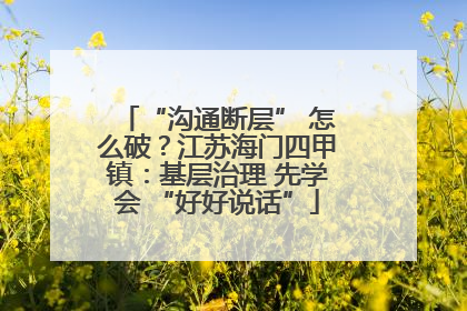 “沟通断层” 怎么破？江苏海门四甲镇：基层治理 先学会 “好好说话”