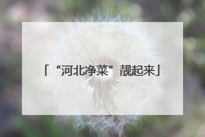 “河北净菜”靓起来