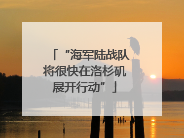 “海军陆战队将很快在洛杉矶展开行动”