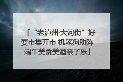 “老泸州·大河街”好耍市集开市 机器狗助阵端午美食美酒亲子乐