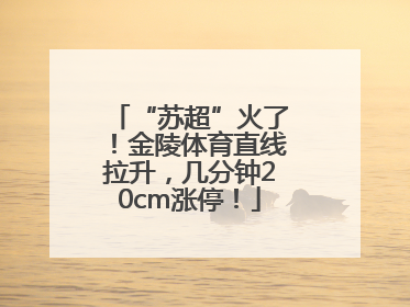 “苏超”火了！金陵体育直线拉升，几分钟20cm涨停！