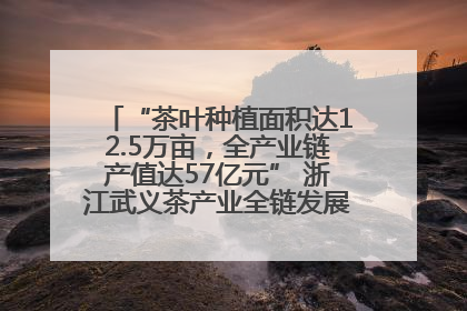 “茶叶种植面积达12.5万亩，全产业链产值达57亿元” 浙江武义茶产业全链发展“加速度”