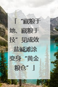 “藏粮于地、藏粮于技”见成效 盐碱滩涂变身“黄金粮仓”