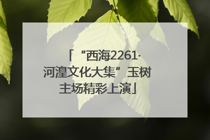 “西海2261·河湟文化大集”玉树主场精彩上演
