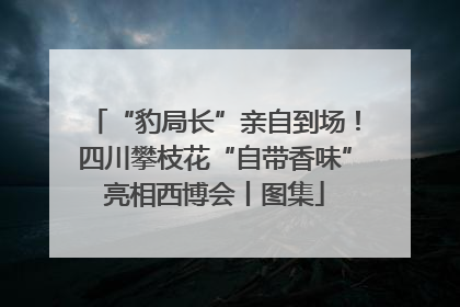 “豹局长”亲自到场！四川攀枝花“自带香味”亮相西博会丨图集