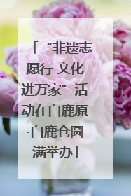 “非遗志愿行 文化进万家”活动在白鹿原·白鹿仓圆满举办