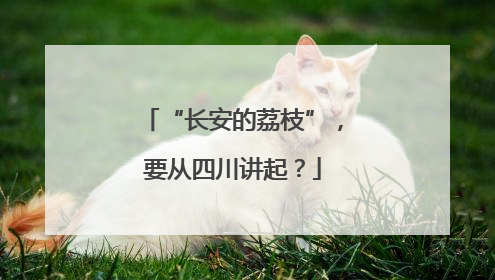 “长安的荔枝”，要从四川讲起？