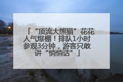 “顶流大熊猫”花花人气爆棚！排队1小时参观3分钟，游客只敢讲“悄悄话”